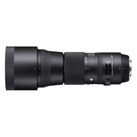 Sigma | 150-600mm F5.0-6.3 DG OS HSM | Nikon [CONTEMPORARY] - 9